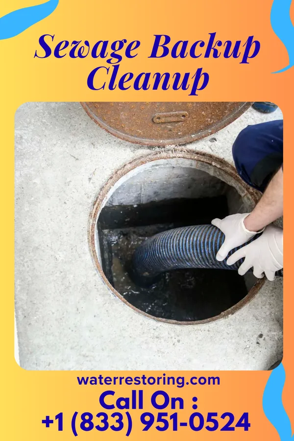 Sewage Backup Cleanup in Raton, NM