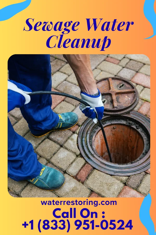 Sewage Water Cleanup in Raton, NM